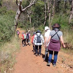 Kalamunda Hikers (term 2) - Semester 1